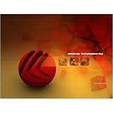  : BITDEFENDER BitDefender 8 Pro ( Windows )