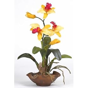 http://ecx.images-amazon.com/images/I/4153Q4ZYNFL._SL500_AA280_.jpg