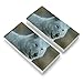 White Wolf Growling Eraser Set of 2