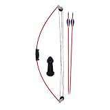 Turbo Fire Bow and Arrow Set