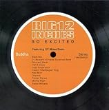 Various Artists - Big 12 Inches: So Excited