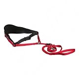 Waist Belt with Lead for Medium-Sized and Large Dogs