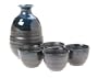 Joyce Chen 5-Piece Porcelain Sake Set, Blue/Black