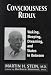Consciousness Redux: Waking, Sleeping, Dreaming, and States in-between: Collected Papers of Martin H. Stein, M. D.