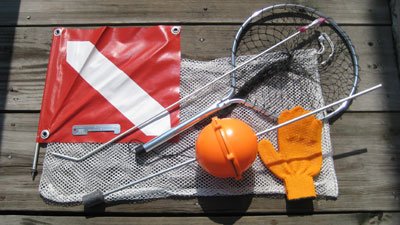 Joy Fish Super Deluxe Lobster Kit