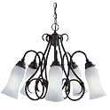 5-Light Pendant