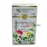 Organic Eucalyptus Leaf - 24 Tea Bags