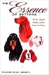 The Essence of Setters: A Study of English, Gordon, Irish and Red and White Setters
