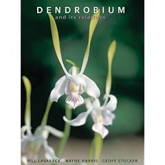 Dendrobium and Its Relatives