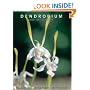 Dendrobium and Its Relatives