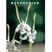 Dendrobium and Its Relatives
