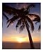 Cayman Island Sunset Motivational Photographic Poster Print by George Oze, 16x20