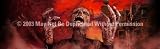 Window Graphic - 16x54 Arisen Zombie