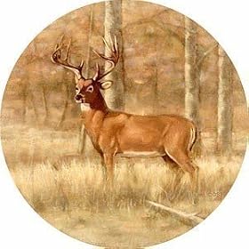 Set of Four Whitetail Deer Thirstystone Coasters - Style TS61R by Thirstystone