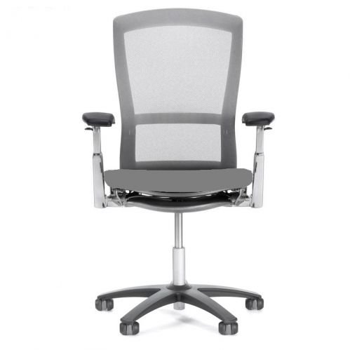 Knoll Life Chair - Fully Adjustable Model