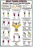 Shoulders and Back Chart