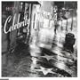 Celebrity Skin