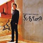 Click here to buy Sub Rosa by  Eagle-Eye Cherry .