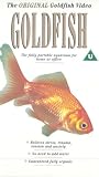 Review Odyssey Video  / Goldfish - The Original Goldfish Video [1985]