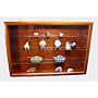 Sammlervitrine mit Echtglasscheibe und 3 Glasb�den&hellip von Schw�bische Albumfabrik