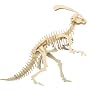 Parasaurolophus - Woodcraft Construction Kit
