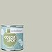 Inspired Eggshell Interior Colorspot Paint Sample, Stone .04,  8-oz
