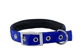 Pet Supplies : Large Solid Adjustable Soft-Padded Pet Collar with Alloy Buckle, Blue