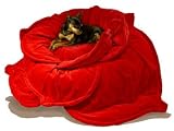 RoseBed by Lex Gable