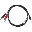 Mini to RCA Audio Cable 4154SFD248L. SL160 AA115 Watch Streaming Videos on Your TV; Connect Your Laptop to Your Television