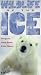 VHS : Wildlife of the Ice