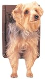Petsafe Pet Door - Small, Brown