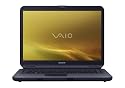 Sony VAIO VGN-NS110E/L 15.4-Inch Laptop (2.0 GHz Intel Pentium Dual-Core T3200 Processor, 2 GB RAM, 160 GB Hard Drive, Vista Premium) Blue