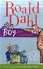 Boy: Tales of Childhood