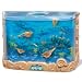 Baby : Wild Planet Deluxe Aquasaurs