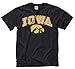 Iowa Hawkeyes Arch with Logo T-Shirt