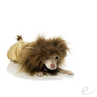 Leg Avenue Lion Cub Costume