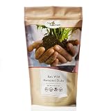 Live Superfoods (tm) - Raw Wild Harvested Dulse, 4oz