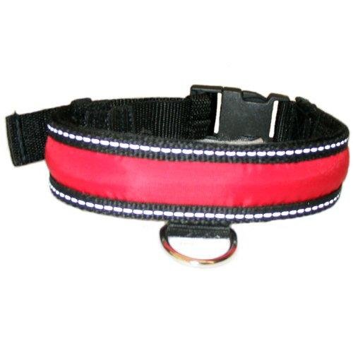 Medium PolyBrite Dog Collar (Red/black , 16-22 in.)