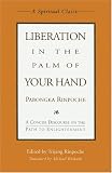 Liberation in the Palm of Your Hand: A Concise Discourse on the Path to Enlightment by Pabongka (Spiritual Classics)