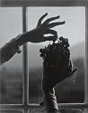 Alfred Stieglitz: The Key Set - Volume I & II: The Alfred Stieglitz Collection of Photographs