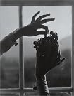 Alfred Stieglitz: The...