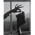Alfred Stieglitz: The Key Set - Volume I & II: The Alfred Stieglitz Collection of Photographs