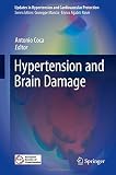 Hypertension and Brain Damage (Updates in Hypertension and Cardiovascular Protection)