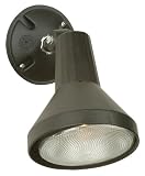 Single-Light Flood Light