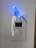 Blue Canary Night Light