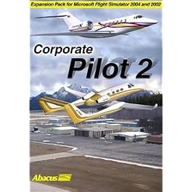 Corporate Pilot 2