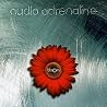 Image of album by Audio Adrenaline