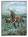 At the Crossing Hautman Brothers Blanket (Horse)