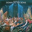 The Best of Down to the Bone