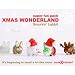 Frank Kozik x Kidrobot Smorkin' Labbit Xmas Wonderland Super Fun Pack (Set of 5 labbit)